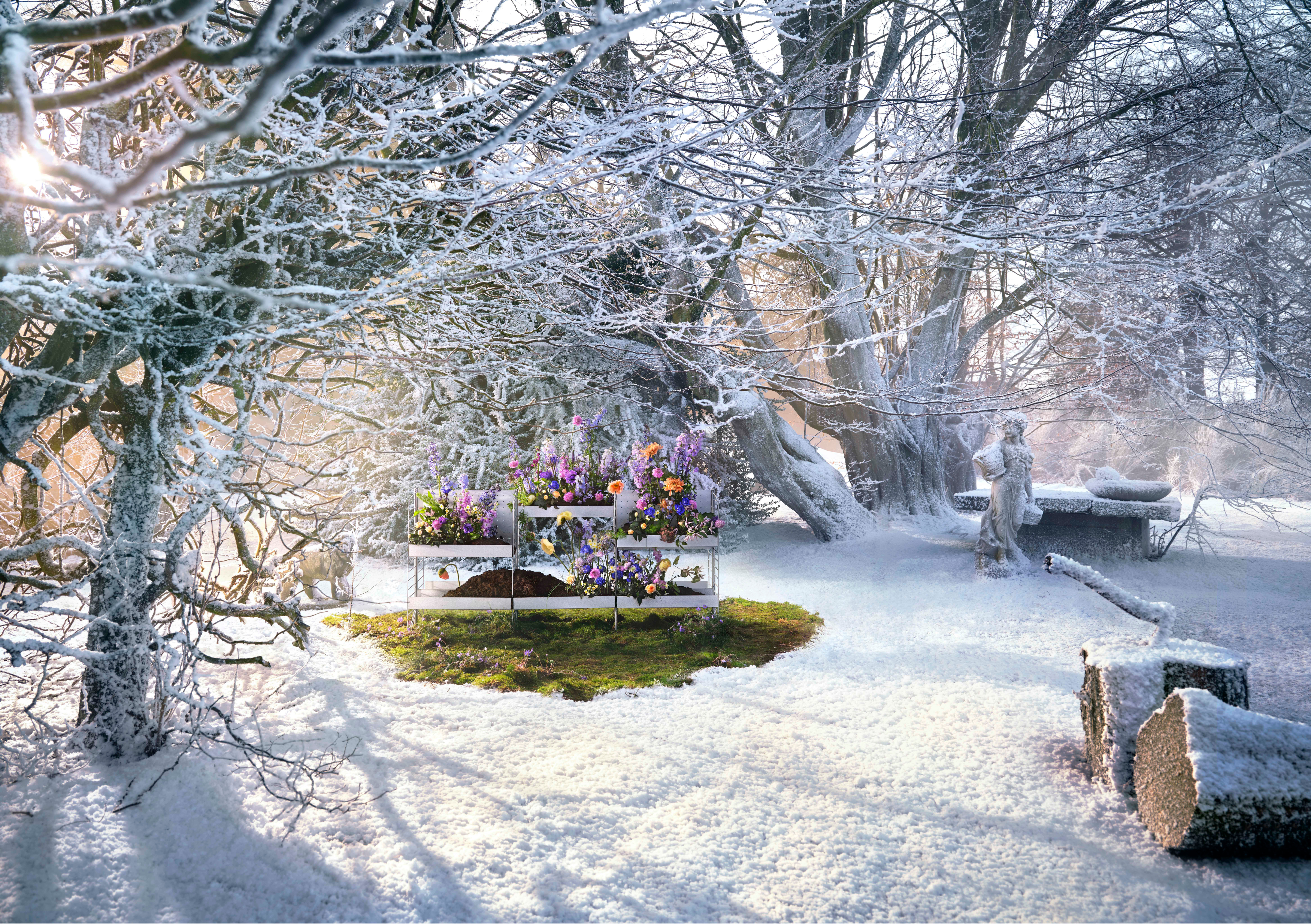 A Warm Nordic Christmas Greeting