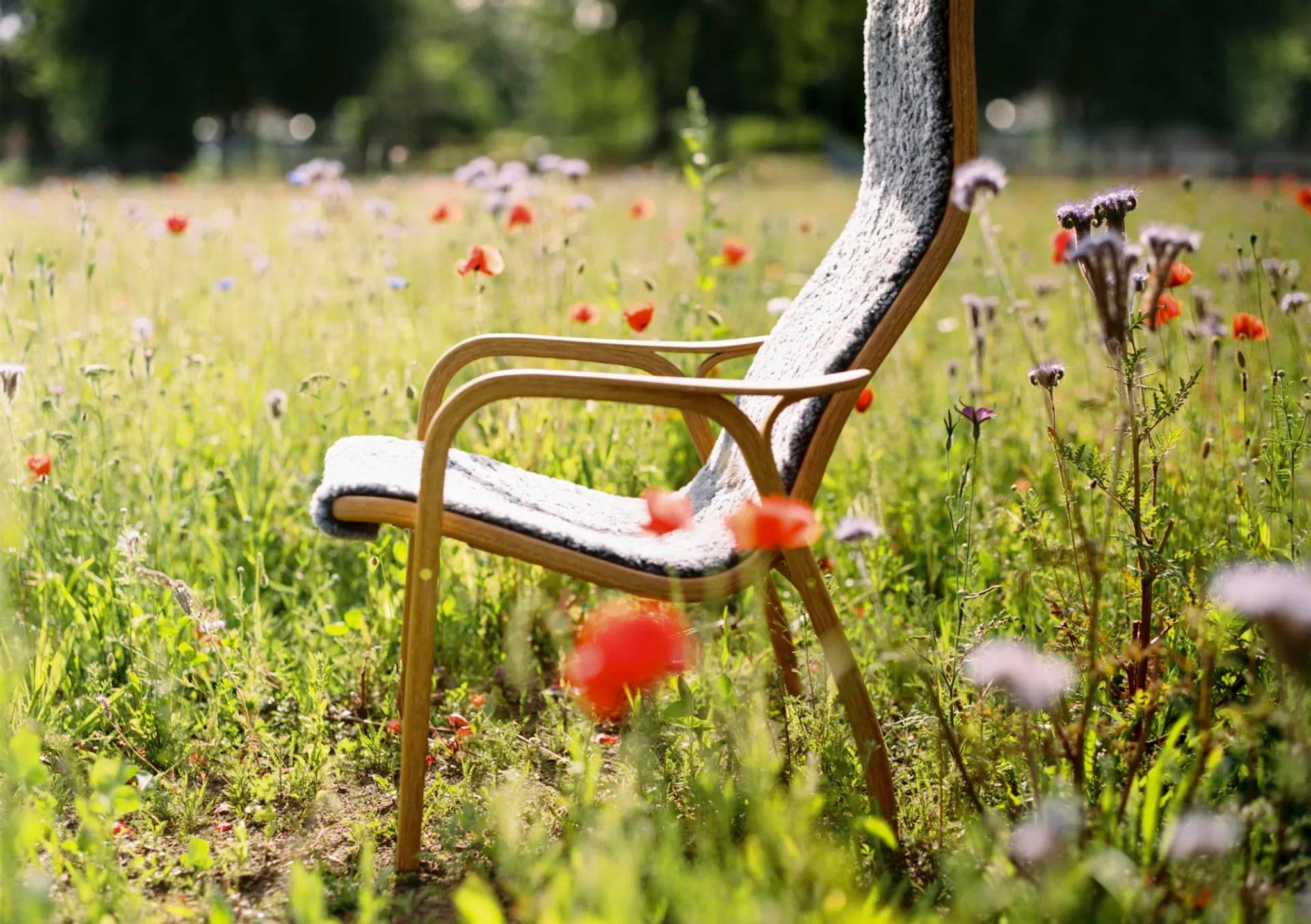 Transform Your Space with Nature-Inspired Home Interiors