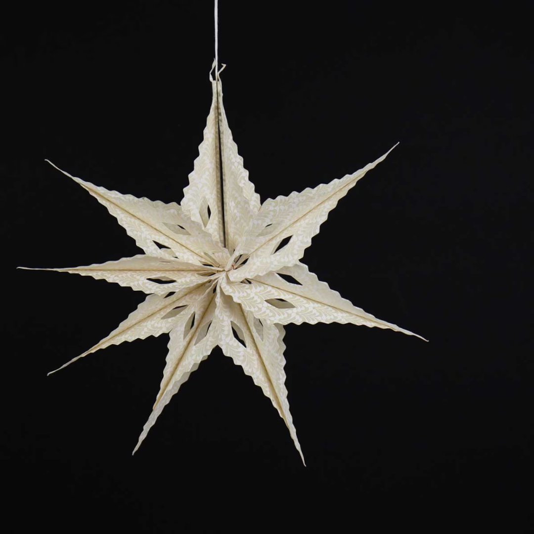 Sirius Bunch Star