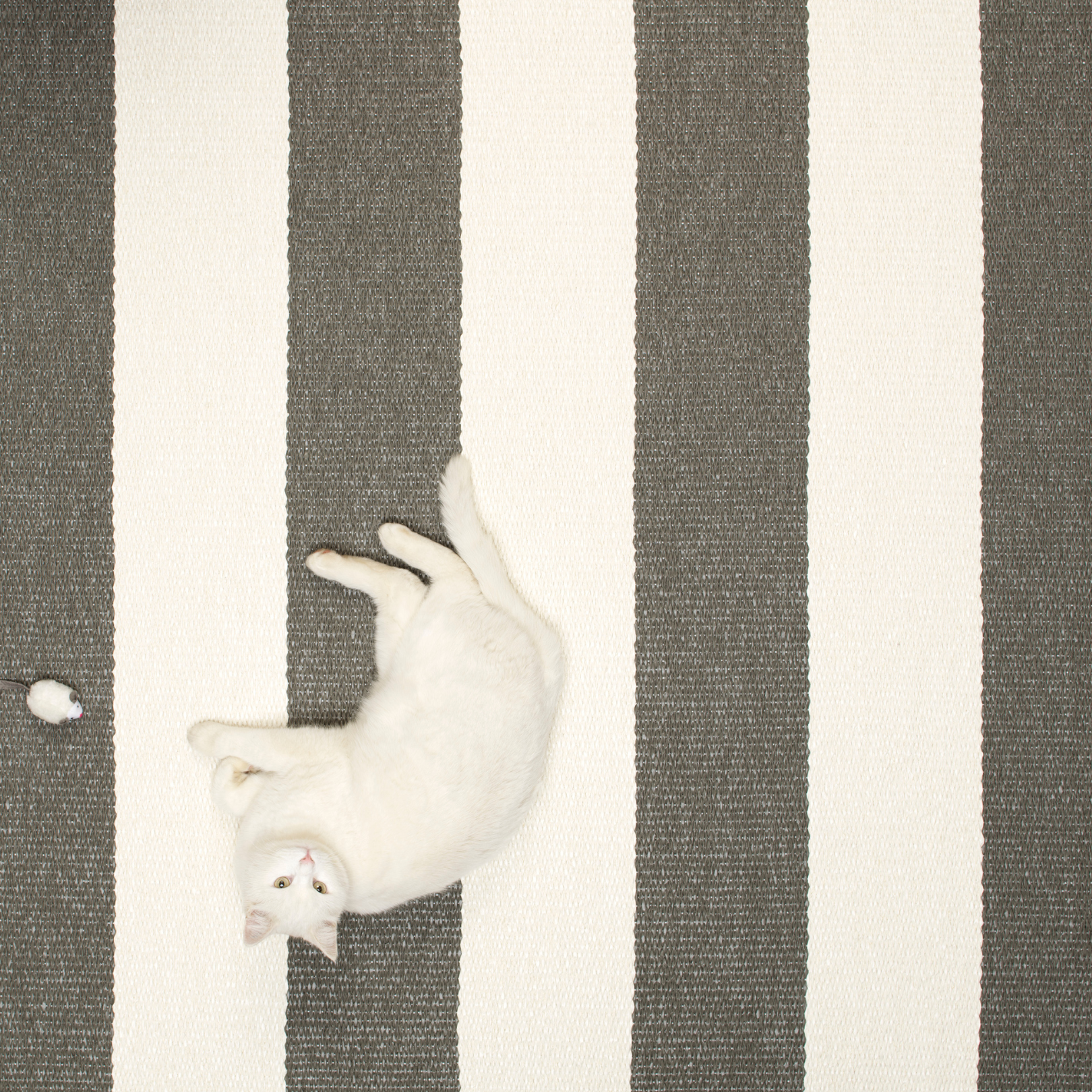 Pappelina Bob 70 x 120cm