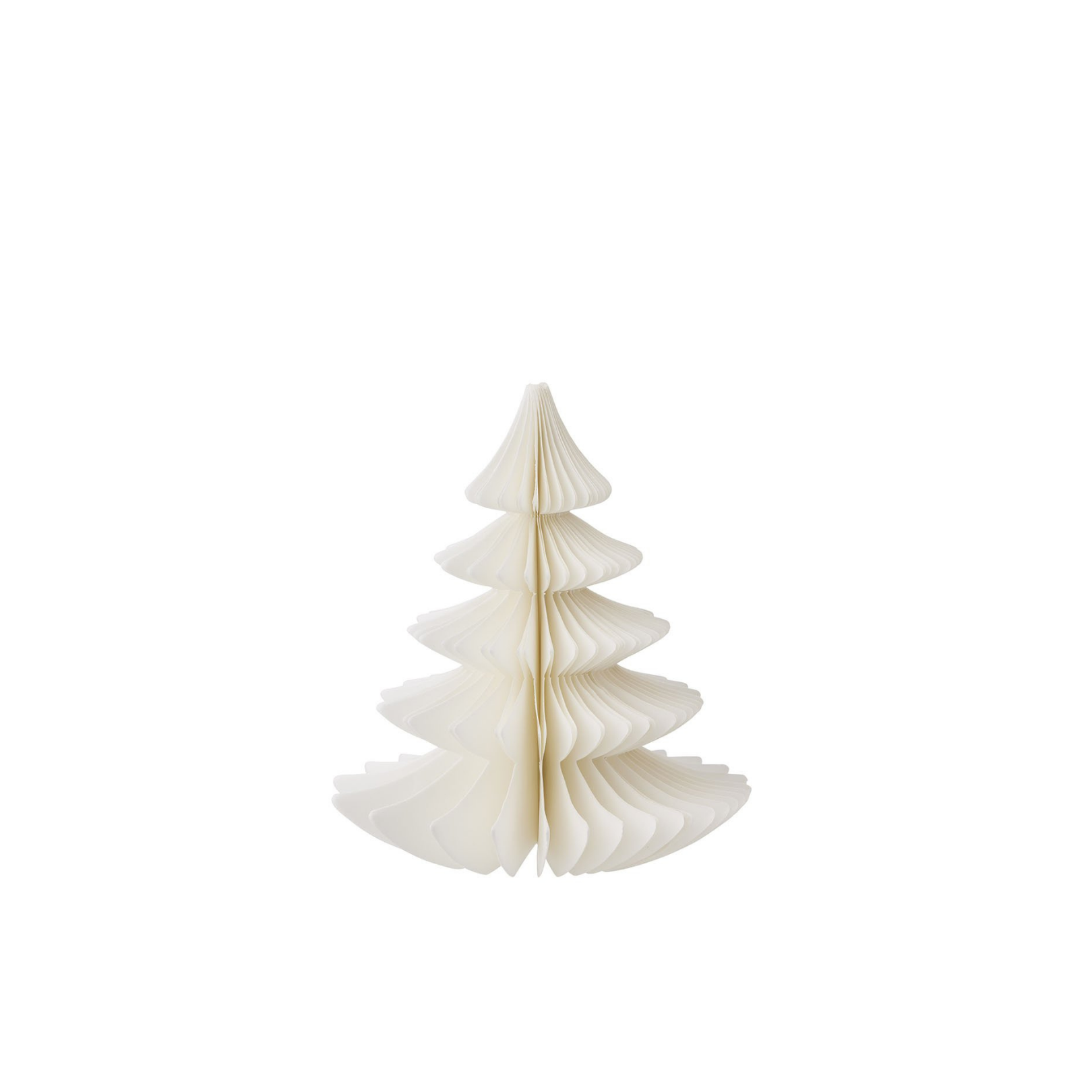 Evergreen Paper Tree
