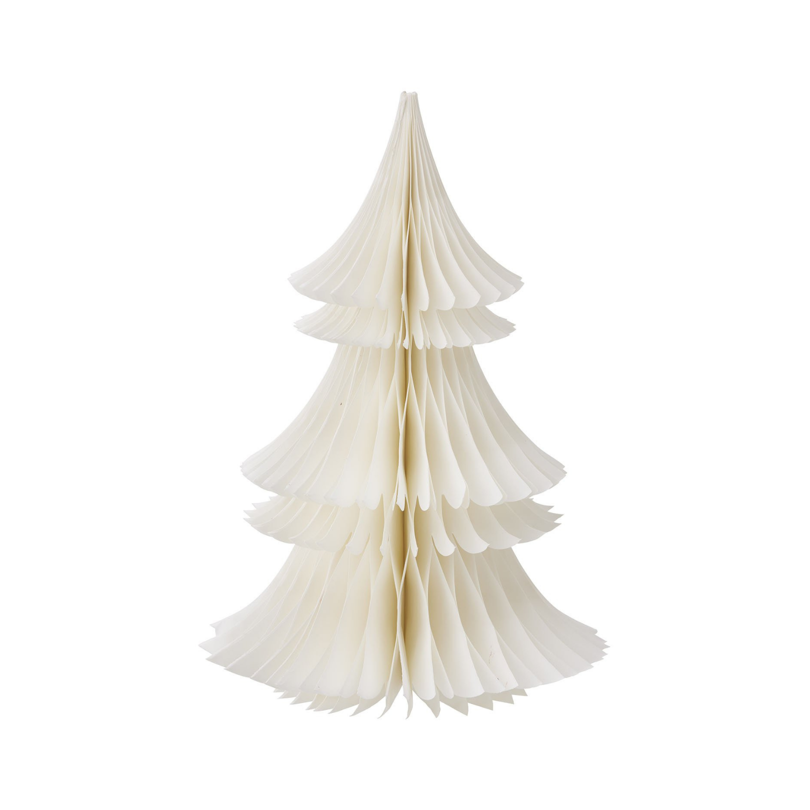 Evergreen Paper Tree