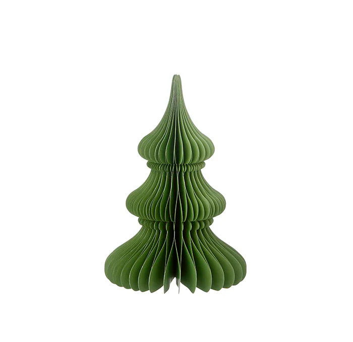 Evergreen Paper Tree