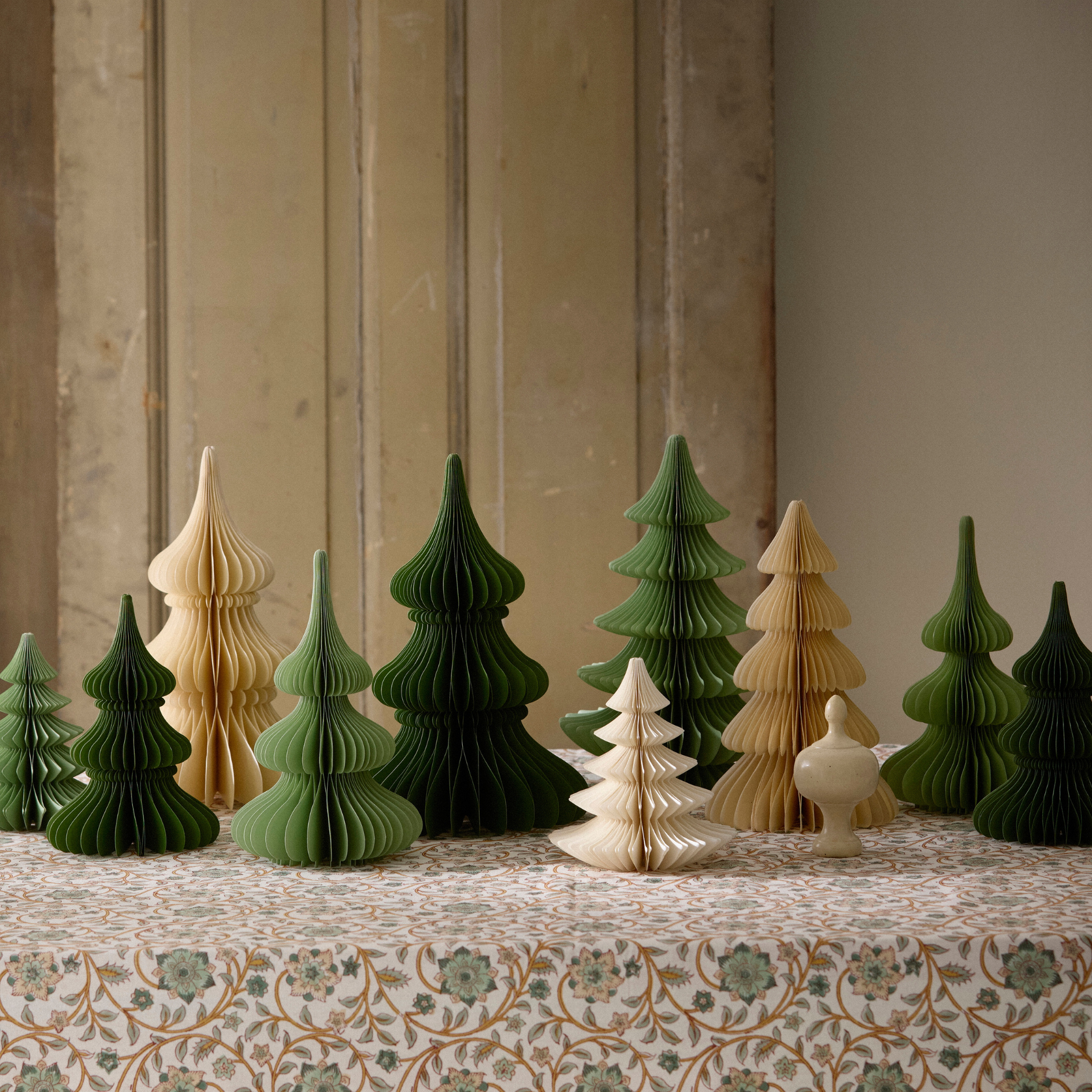 Evergreen Paper Tree