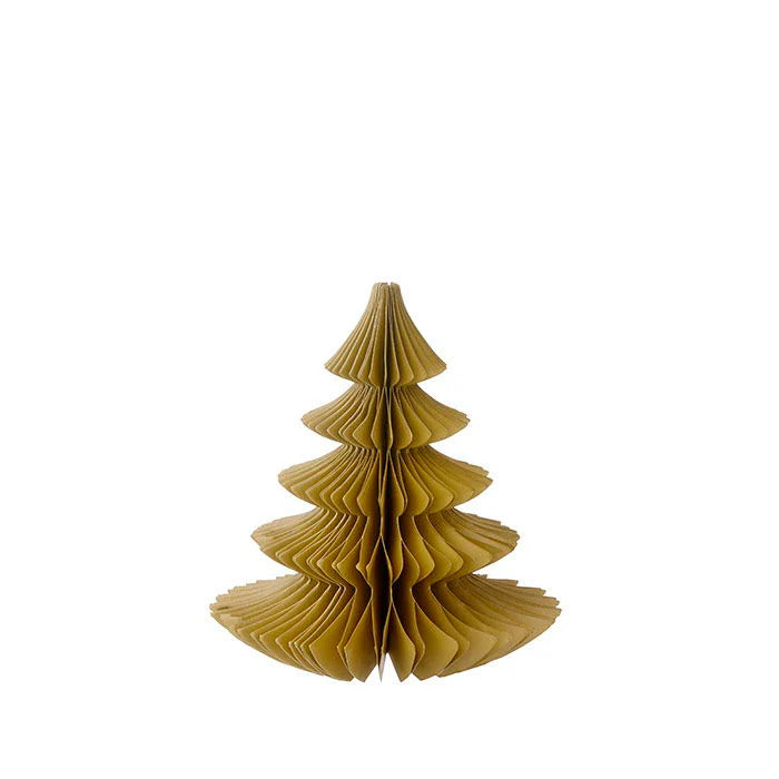 Evergreen Paper Tree