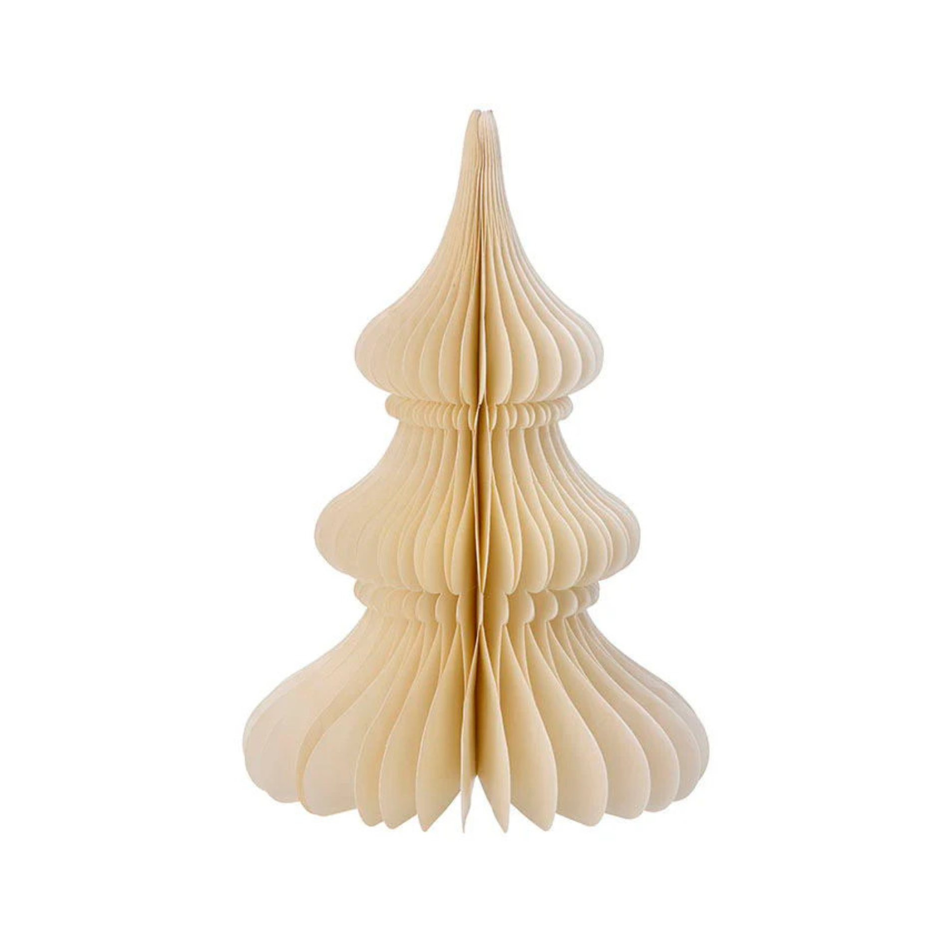 Evergreen Paper Tree