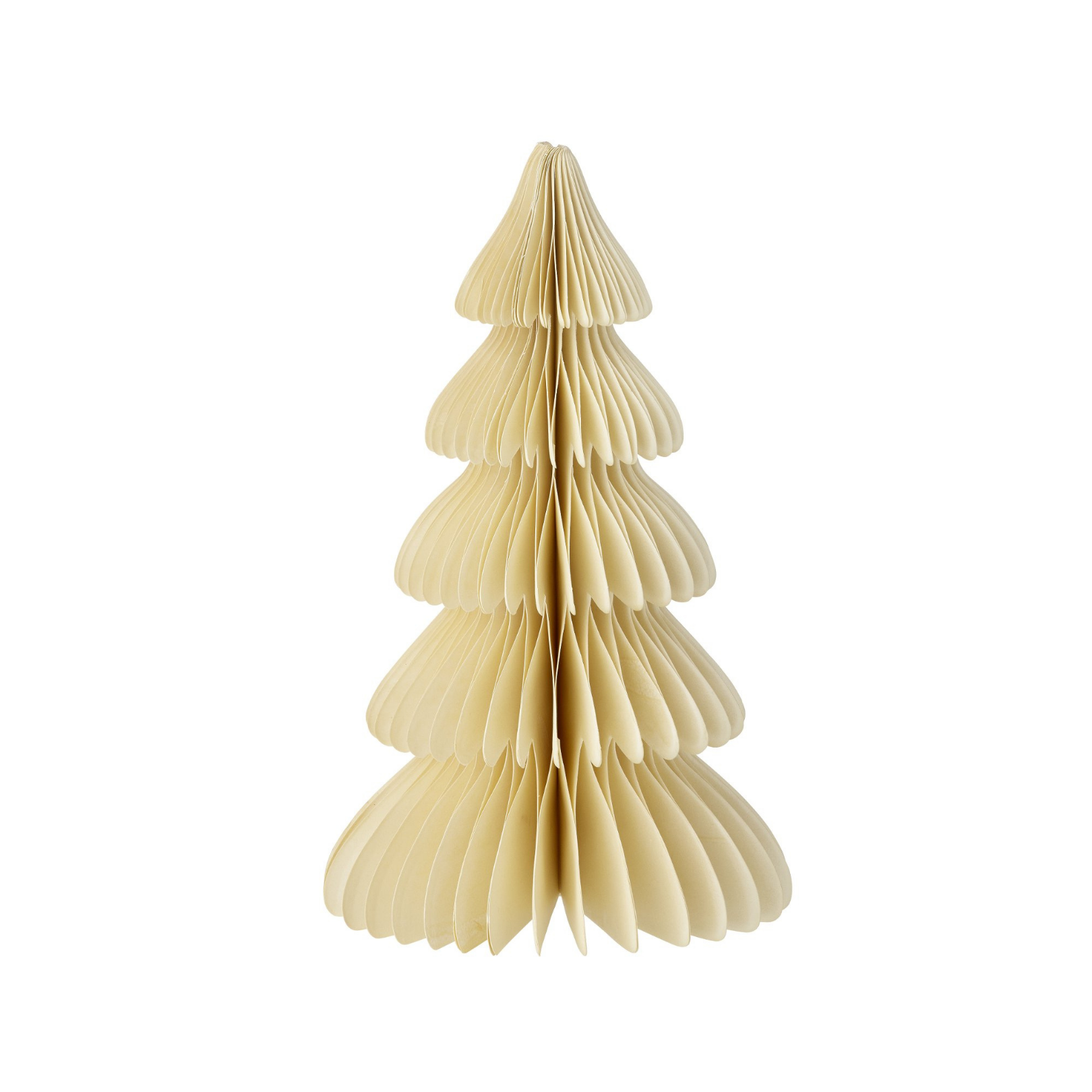 Evergreen Paper Tree