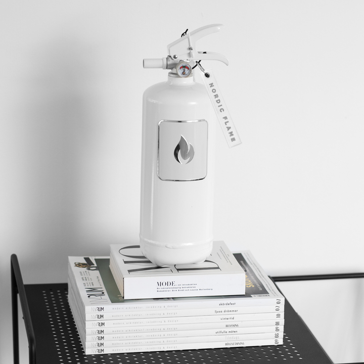 Fire Extinguisher 2kg