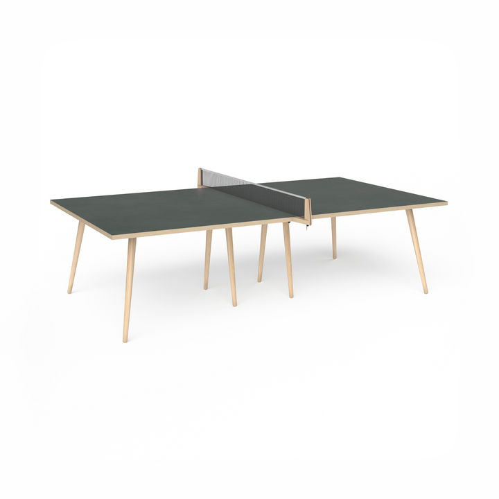 Pingpong Table Tennis