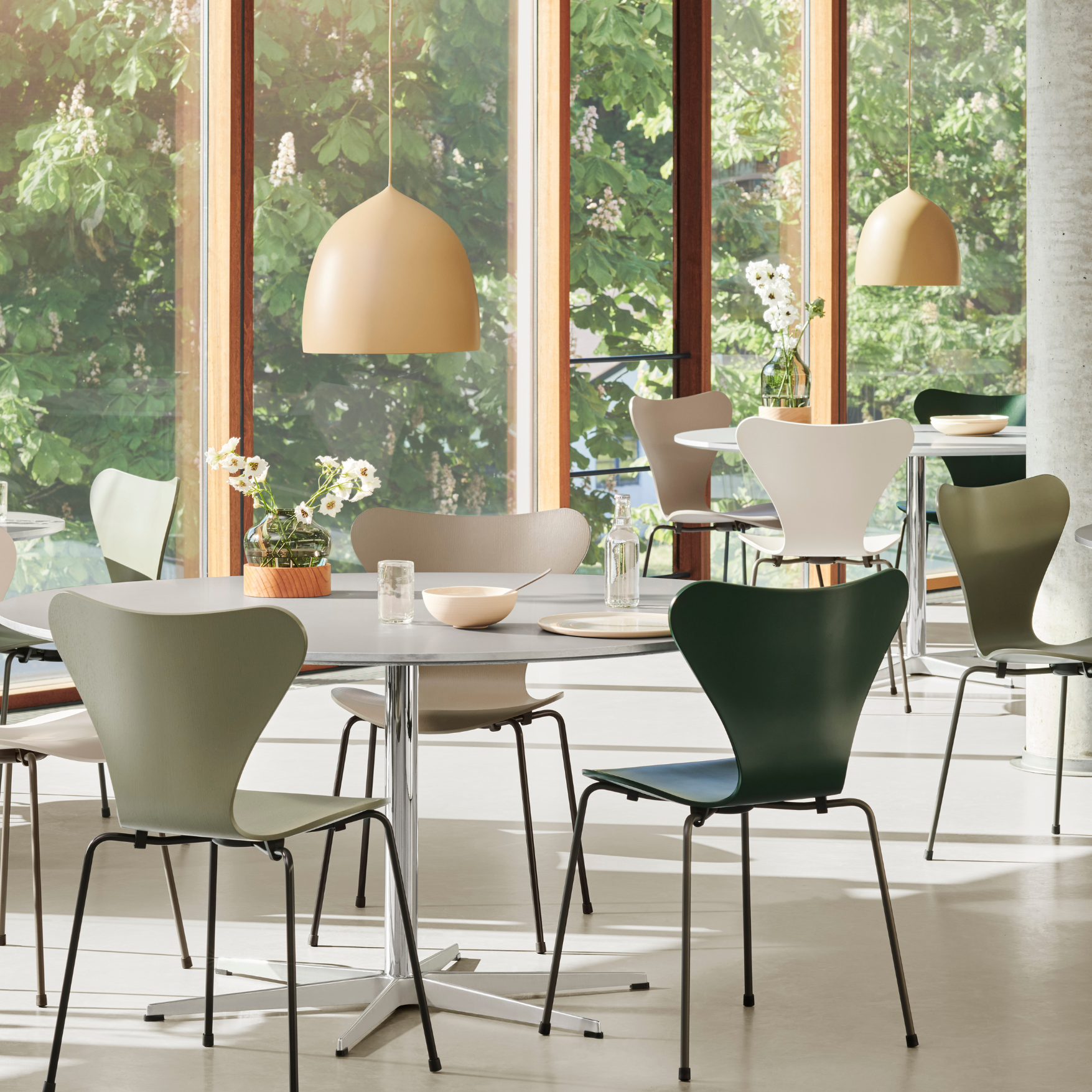 Series 7 Chair Lacquered Veneer by Fritz Hansen - Iconic