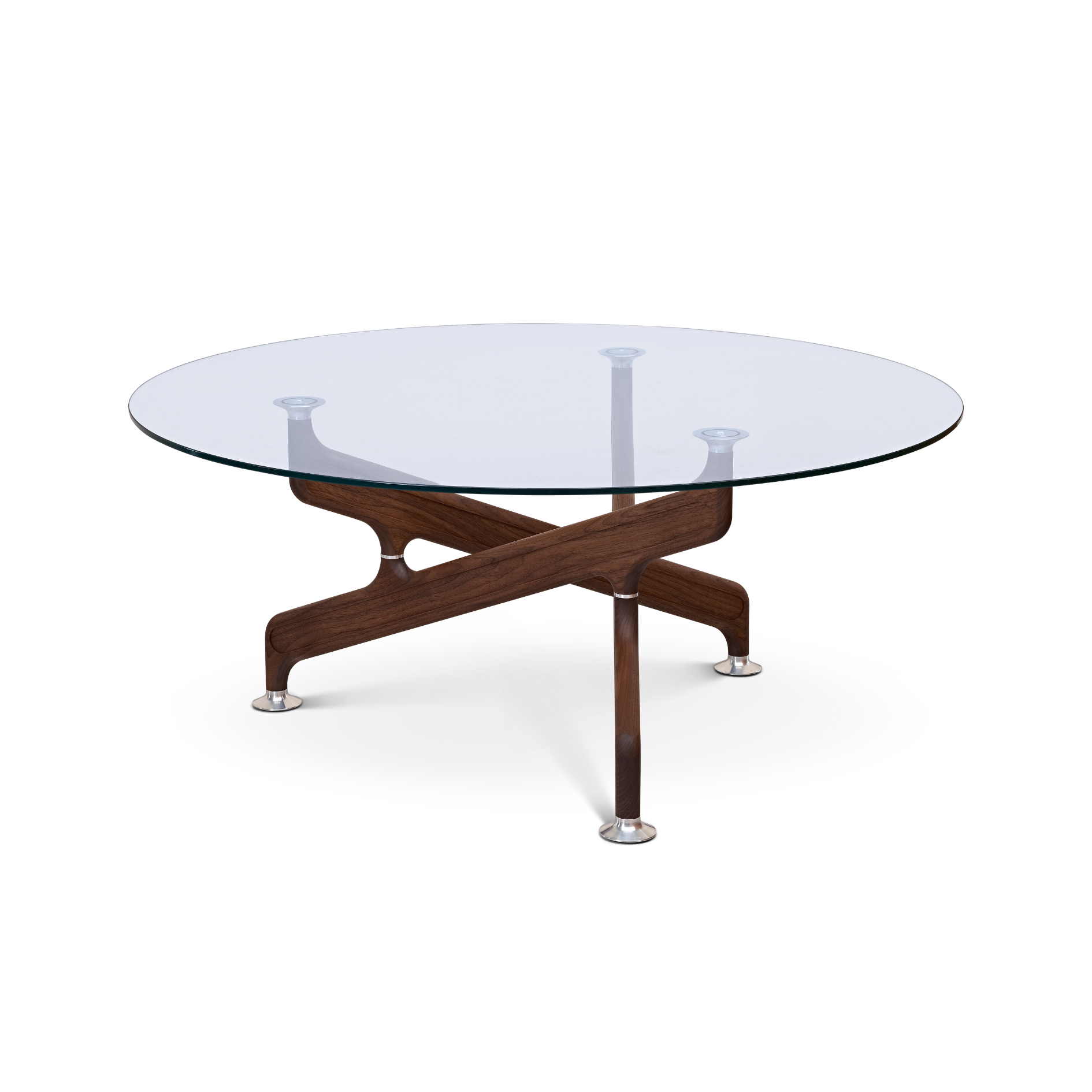 The Bone Coffee Table