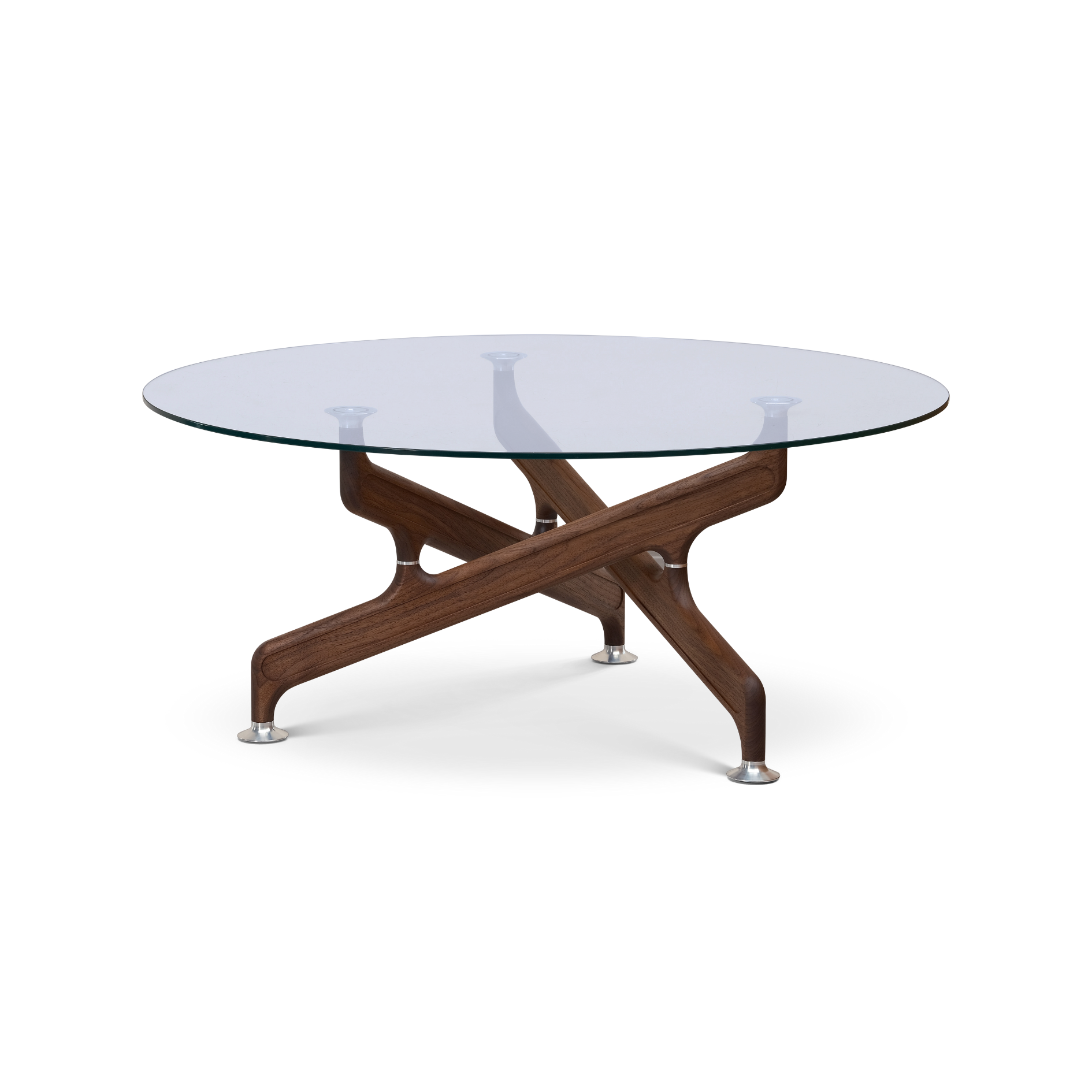 The Bone Coffee Table