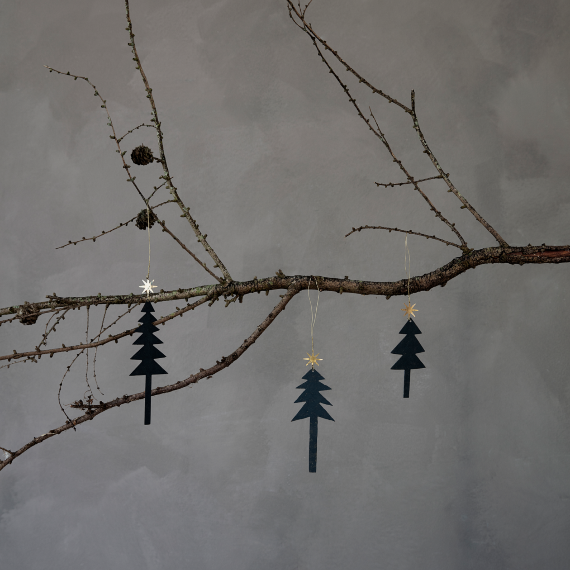 Tree with Star Ornaments