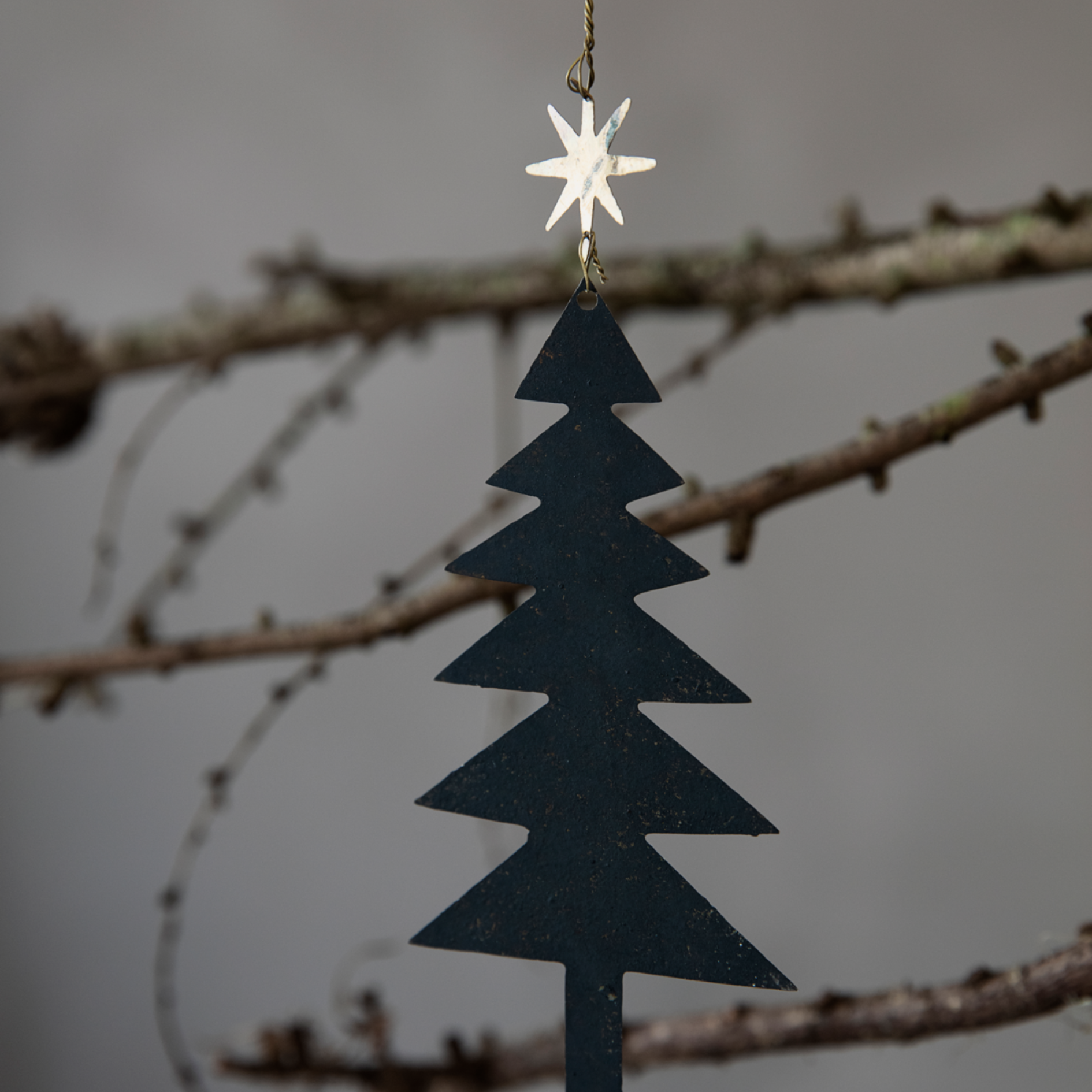 Tree with Star Ornaments