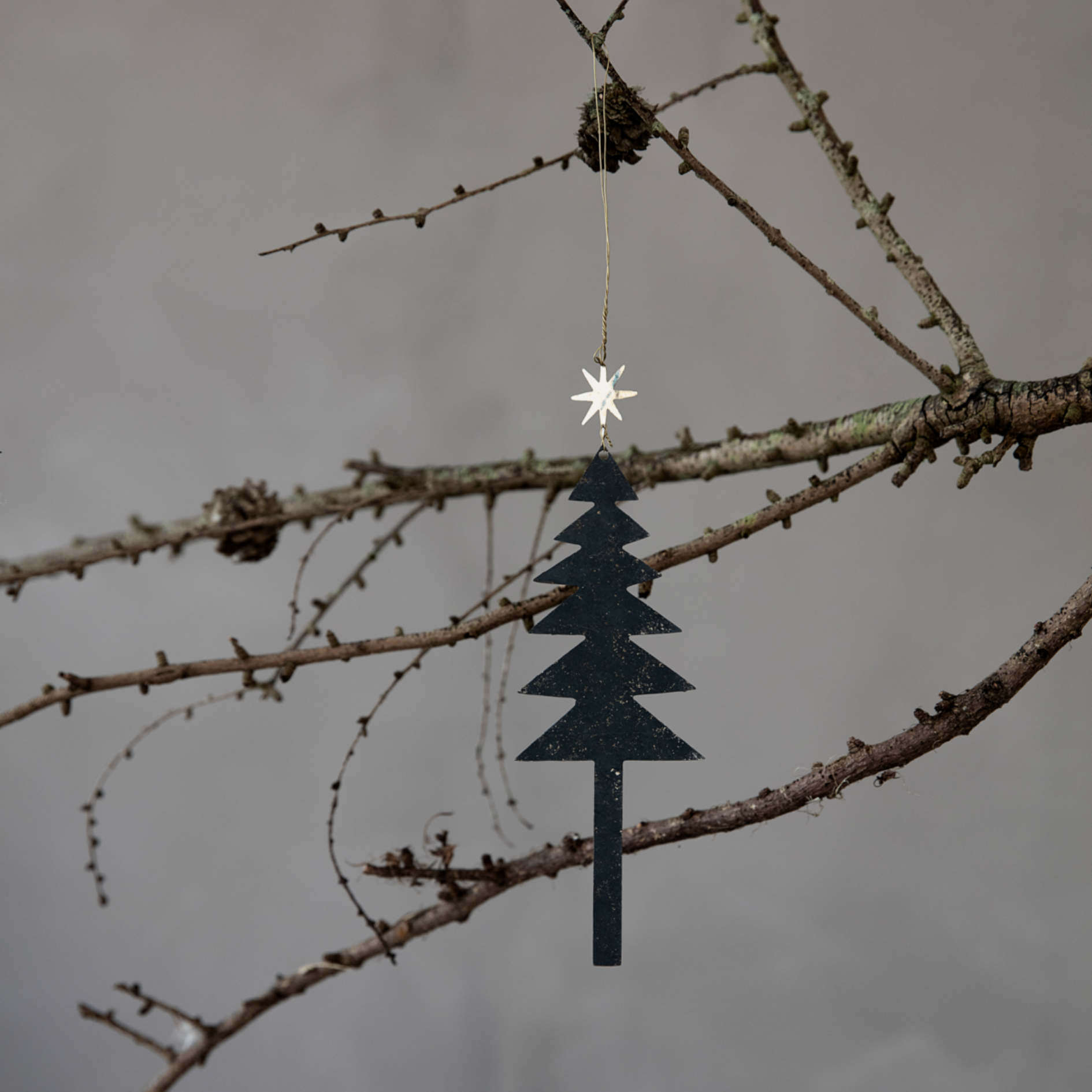 Tree with Star Ornaments