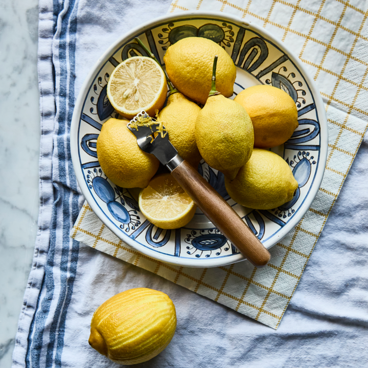 Zester Citrus