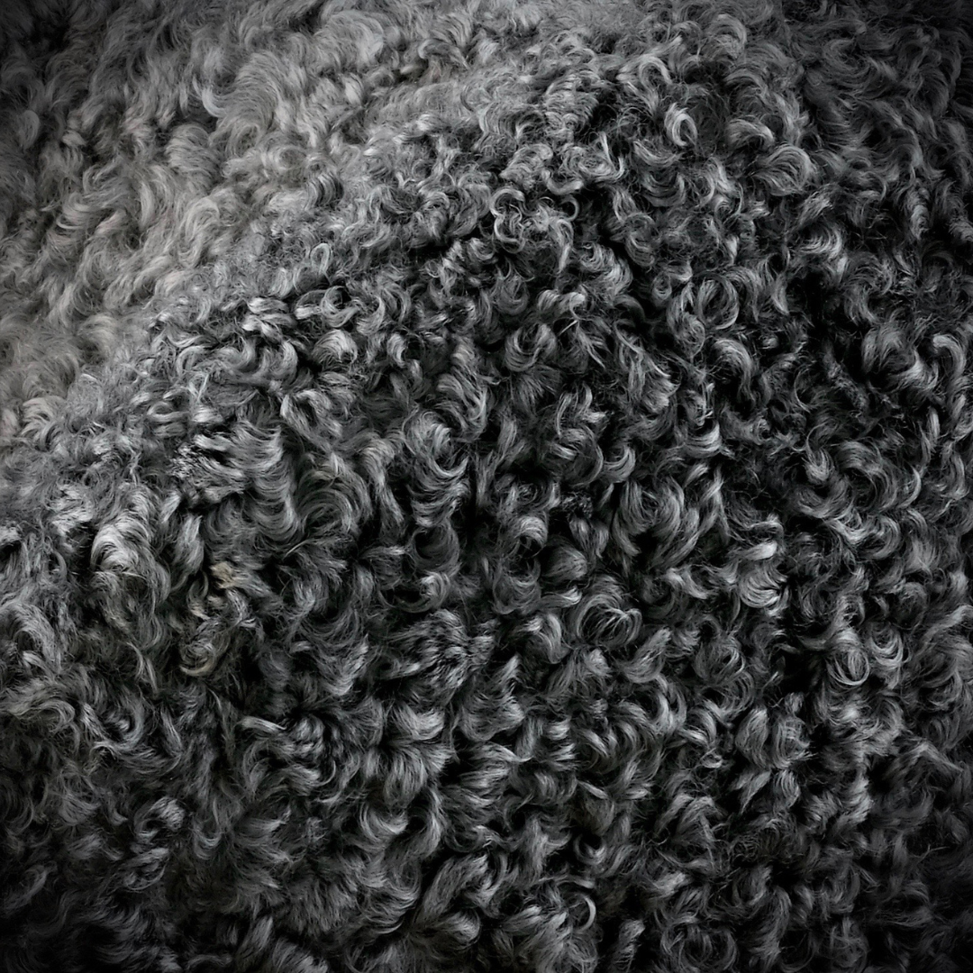 Pelican Chair in Gotland Sheep Skin