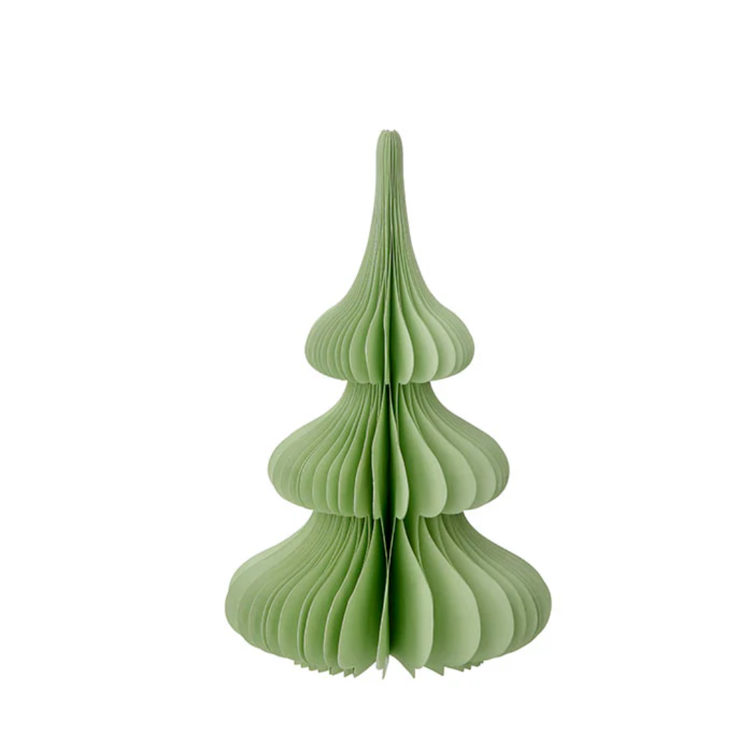 Evergreen Paper Tree