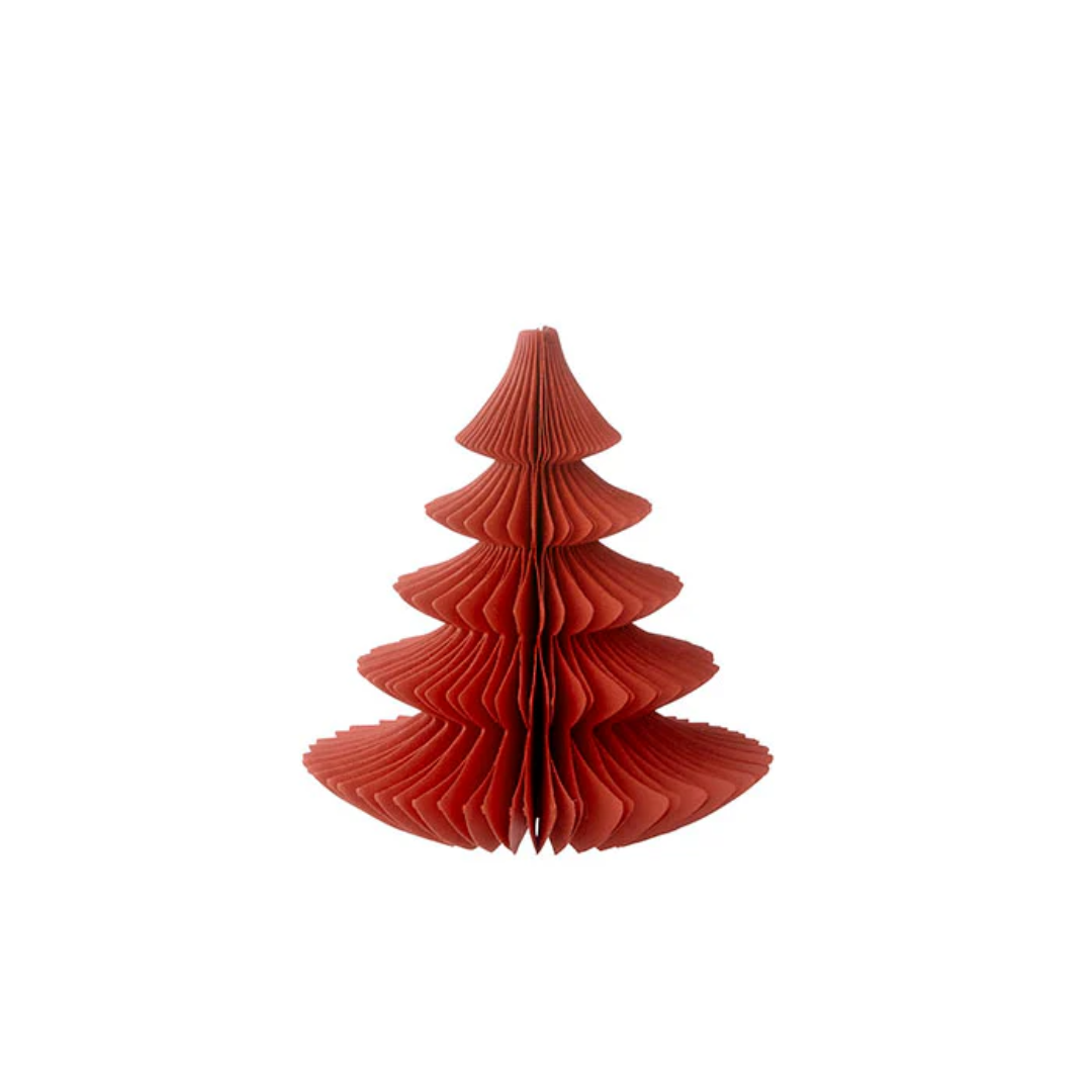 Evergreen Paper Tree