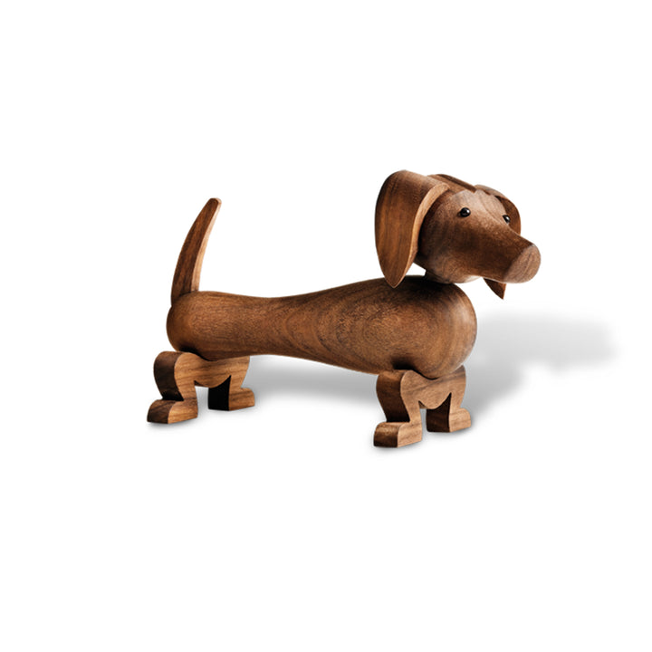 Dachshund Dog