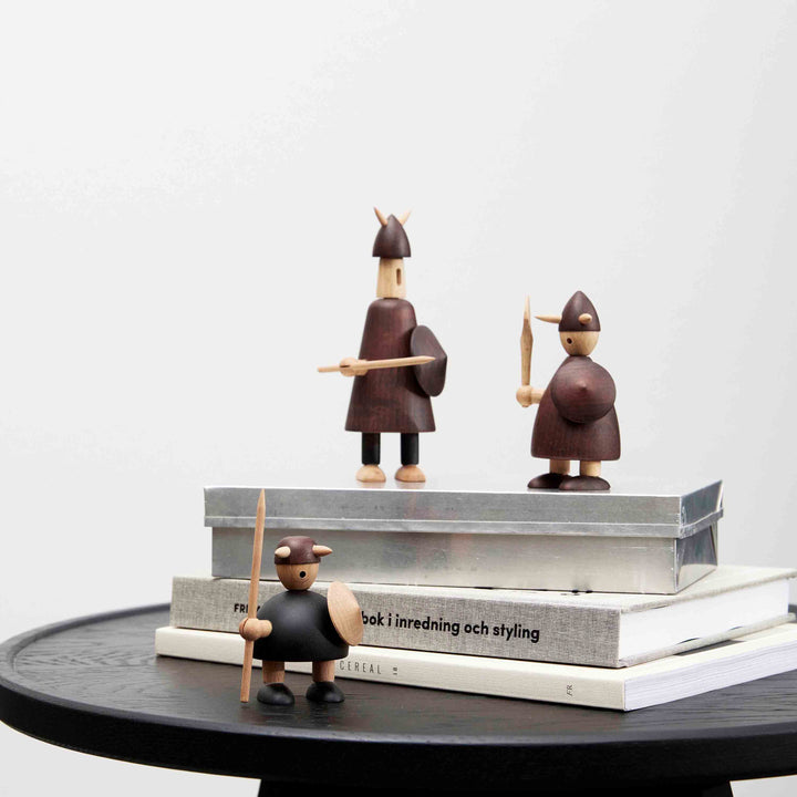 The Vikings of Denmark
